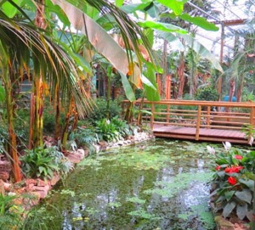 Berkenhof's Tropical Zoo